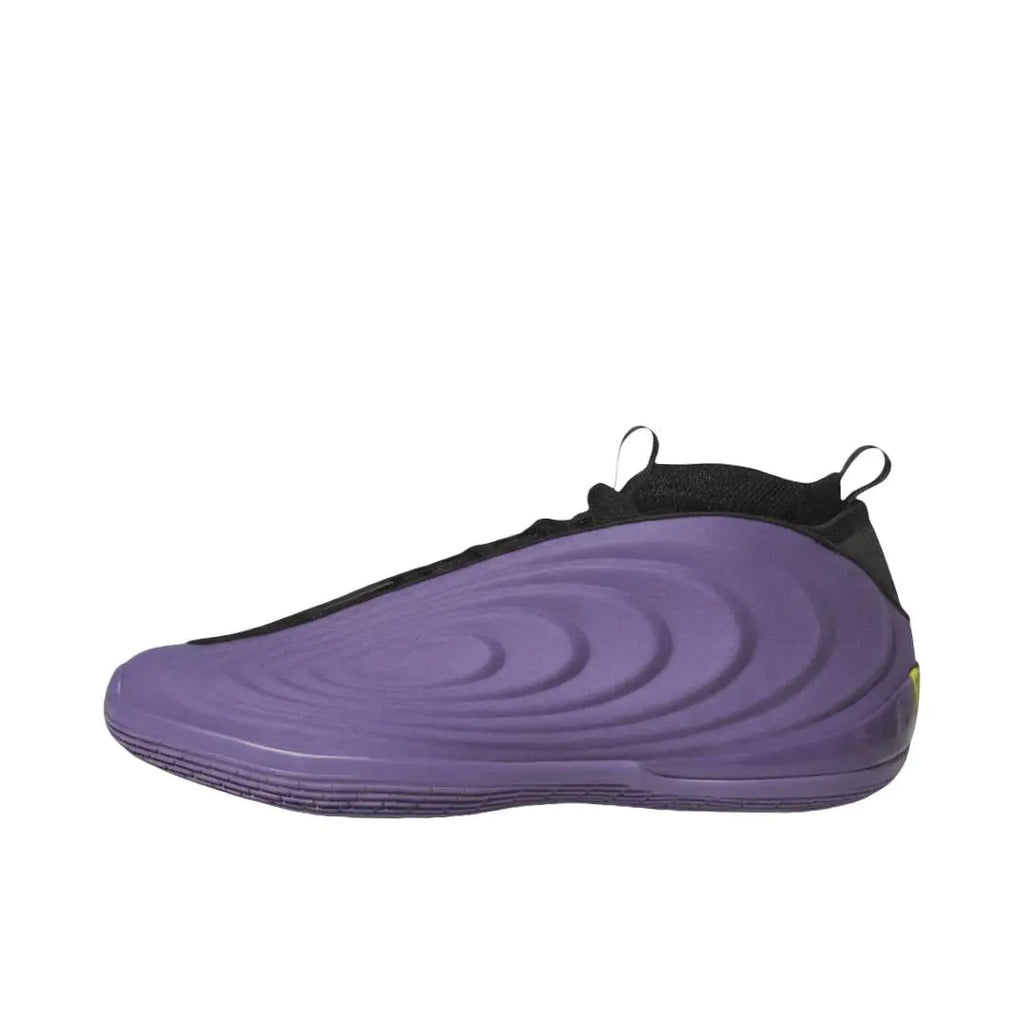 Adidas Harden Vol 10 " Matte Purple "