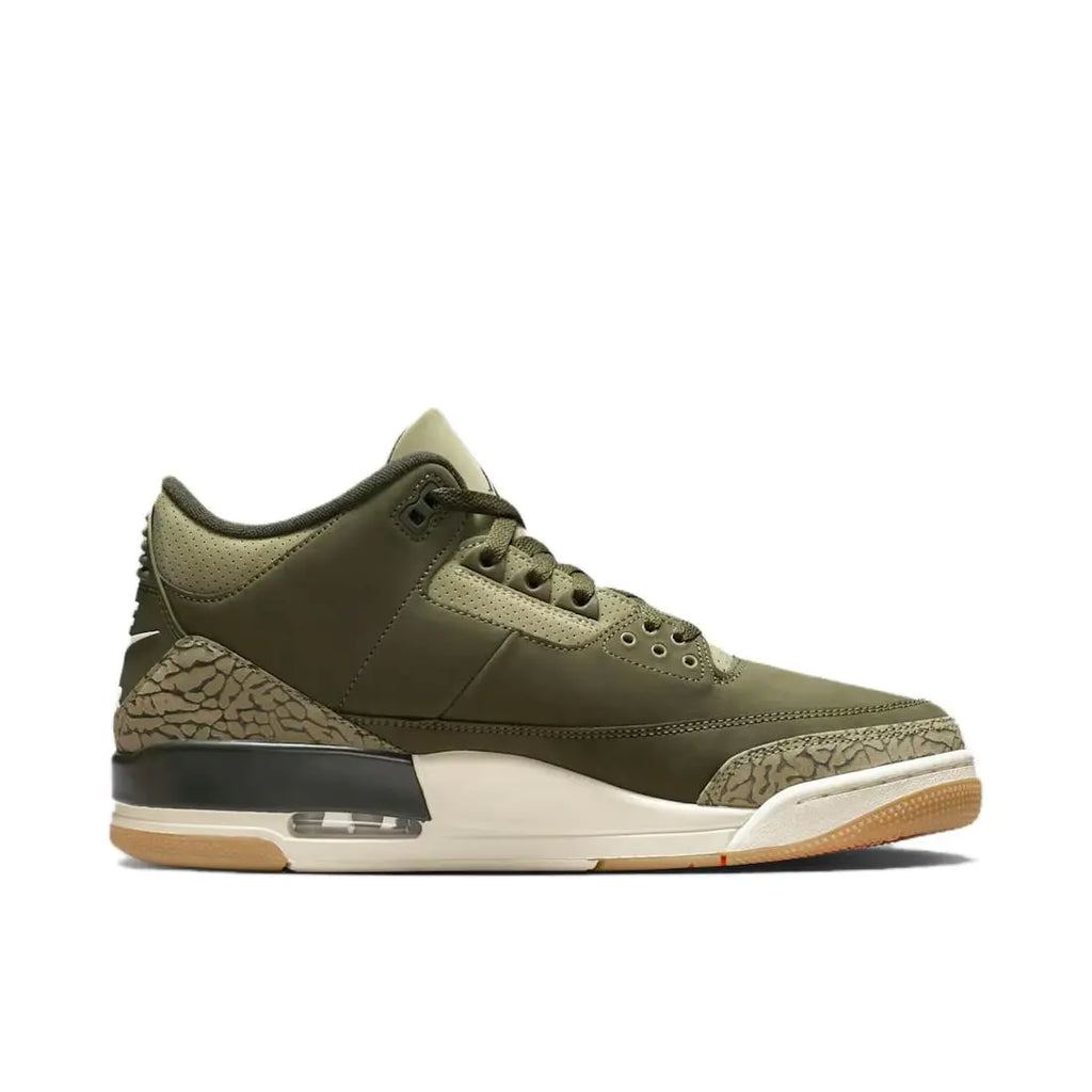 Air Jordan 3 " Family Affair "