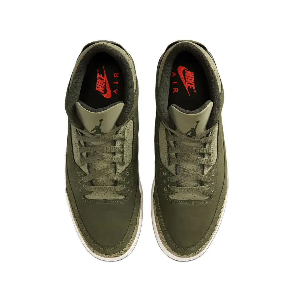 Air Jordan 3 " Family Affair "