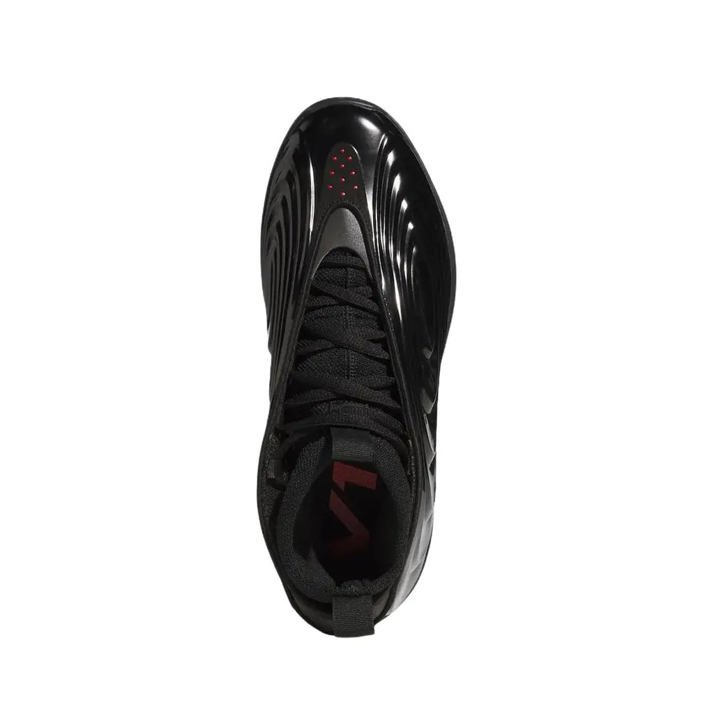 Adidas Harden Vol 10 " Black Cat "