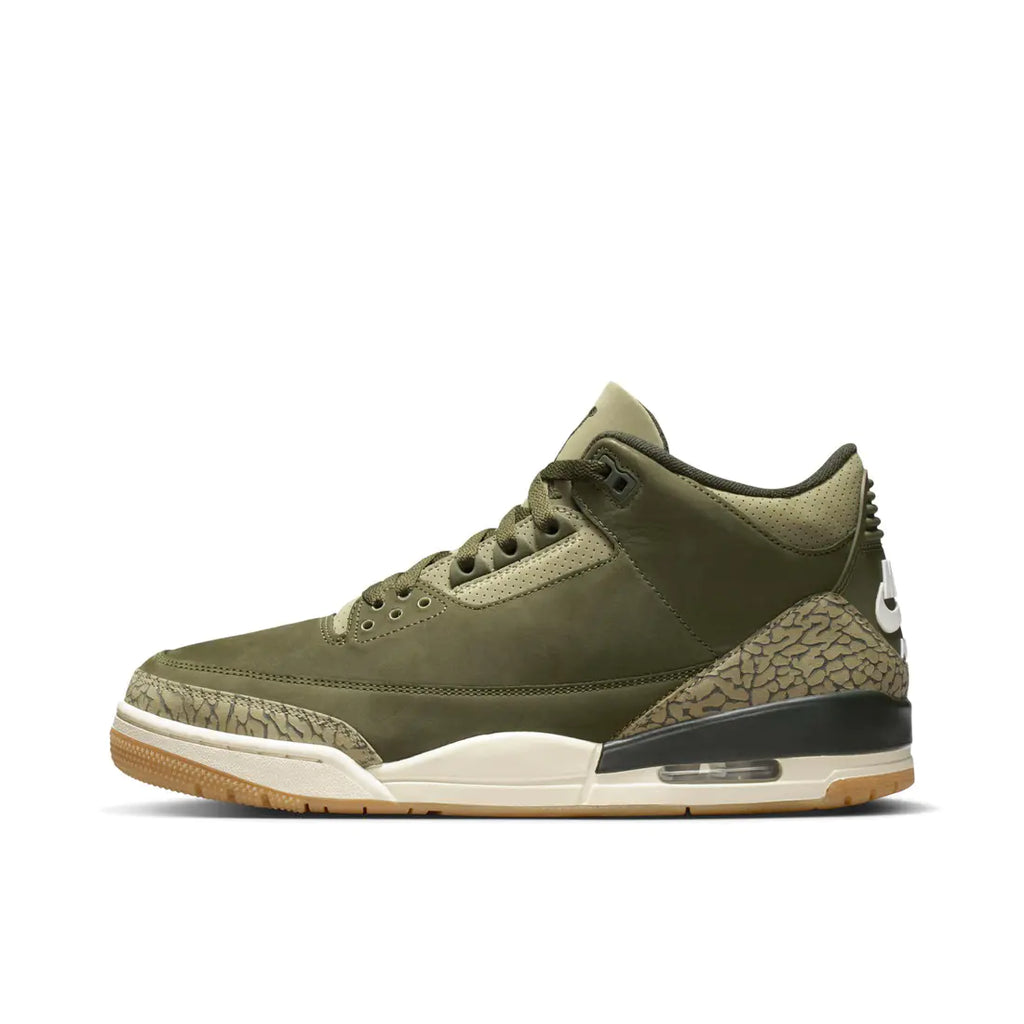 Air Jordan 3 " Family Affair "