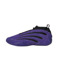 Adidas Harden Vol 9 " Purple "