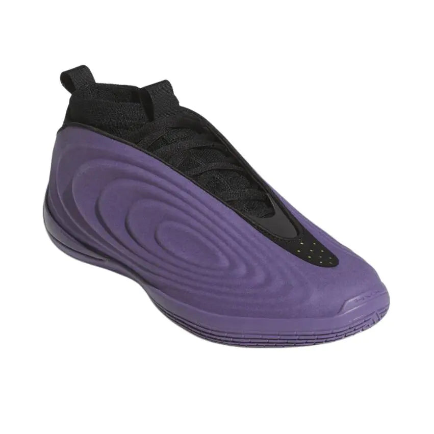 Adidas Harden Vol 10 " Matte Purple "